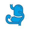 Bariatric Surgery icon