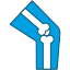 Orthopedics icon